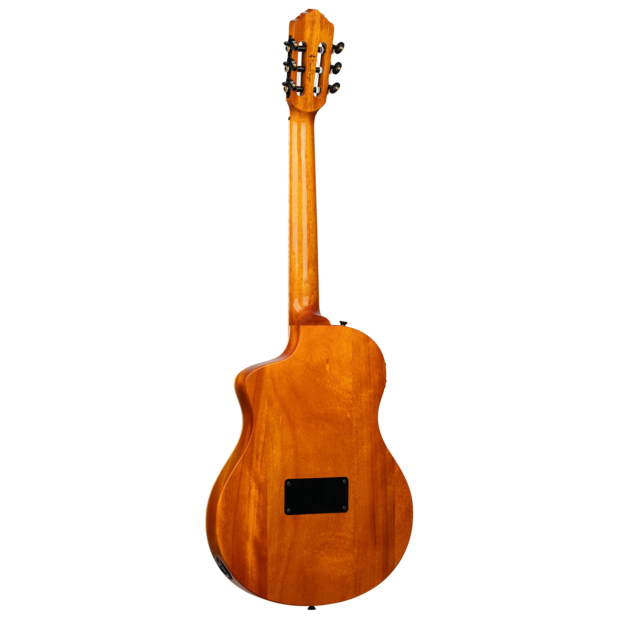 Ortega TourPlayer RTP-LTD Konzertgitarre - Hinteransicht